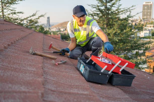 Siding Removal and Disposal in Reese, MI